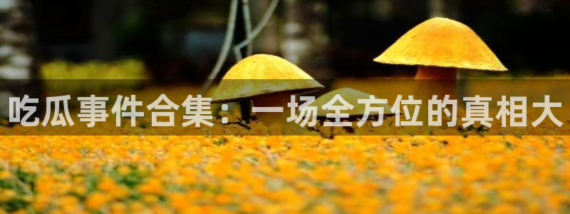 最新黑料事件始末