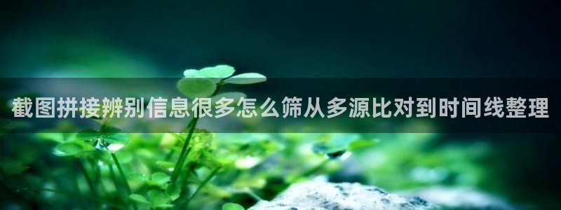 黑料事件真伪核验