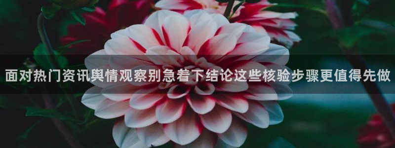 最新黑料完整时间线