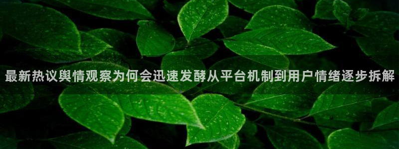 娱乐黑料完整时间线