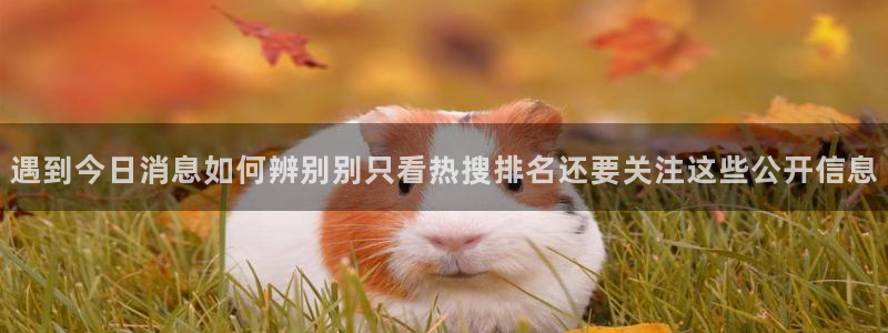 黑料