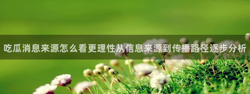 明星黑料真伪核验